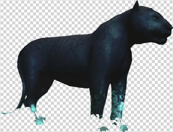 Black Jaguar - Illustration