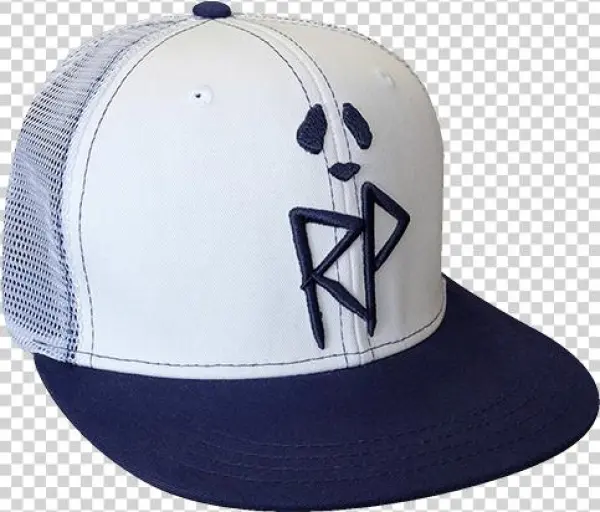 Blue/white Snapback