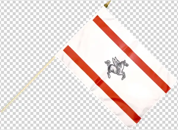 Buy Italy Tuscany Stick Flags At A Fantastic Price - Sign