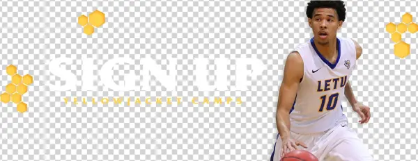 Camps - Yellowjacket