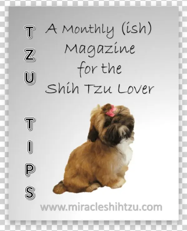Free Shih Tzu Magazine - Puppy