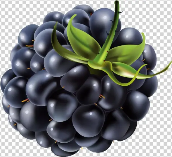 Gift Choice / Smartphone Cell Phone Leather Wallet