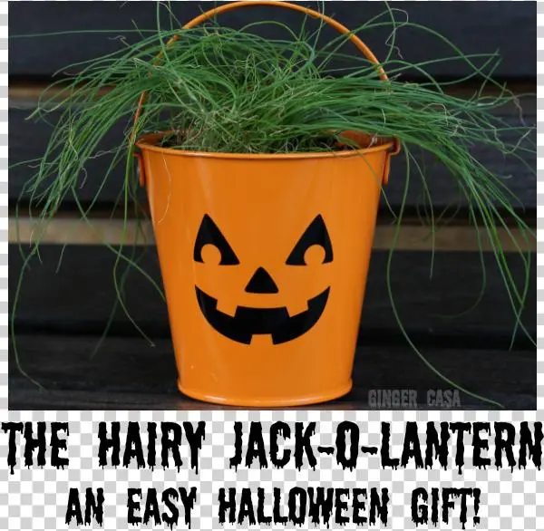 Hairy Jack O Lantern Pin - Orange Tee Shirts By Crazy Dog - Orange 'worst Halloween