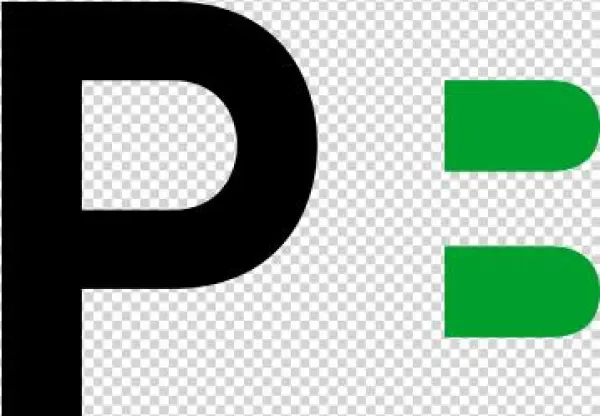 Logotype Proposal For Philippe Barbosa - Graphics