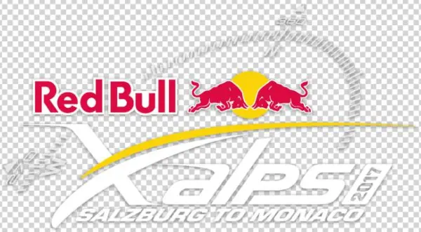 Ny Red Bulls Magnets