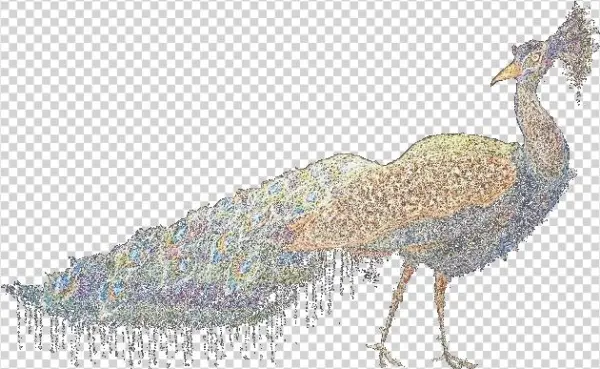 Peacock - Portable Network Graphics