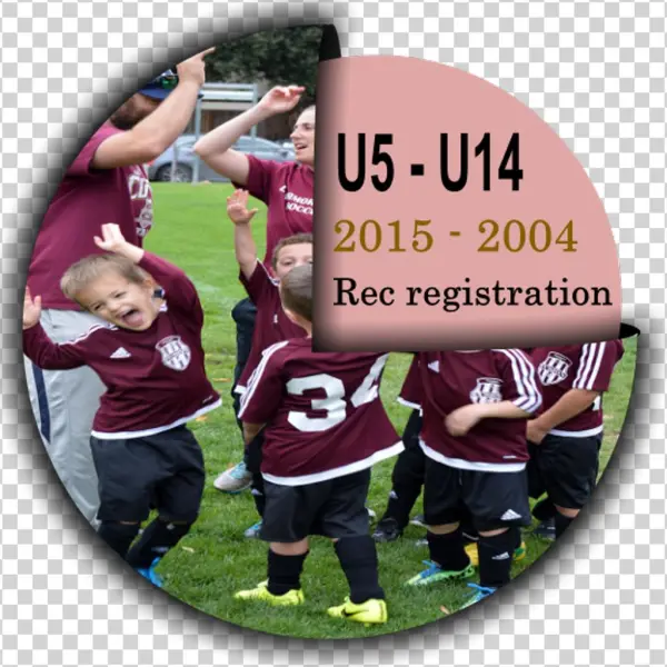 Please Click On The Correct Age Group Button - Team