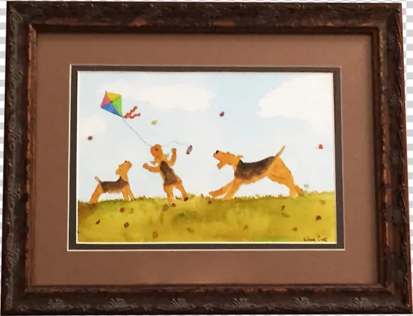 Png - Picture Frame