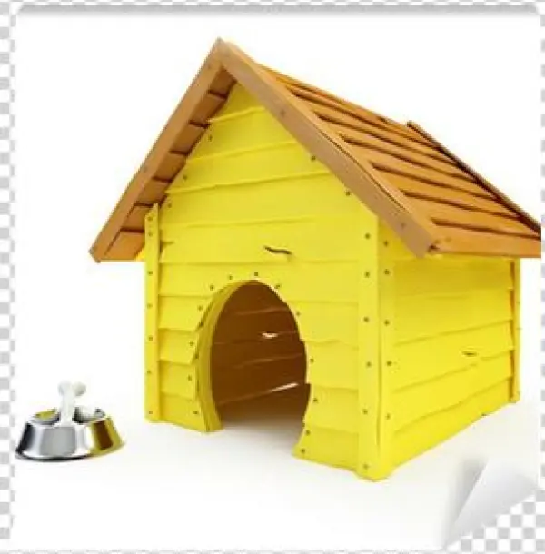 Quoi Servent Les Dinosaures ?