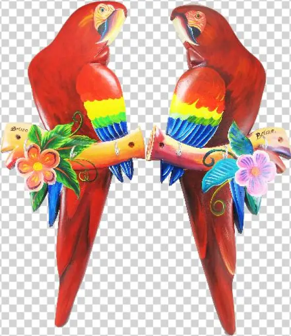 Scarlet Macaw