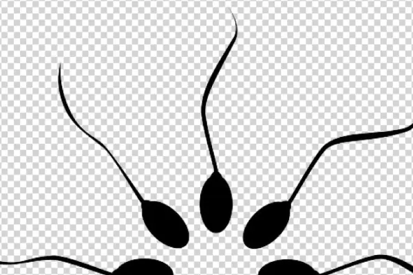 Sperm June 3, 2014off - Fertility