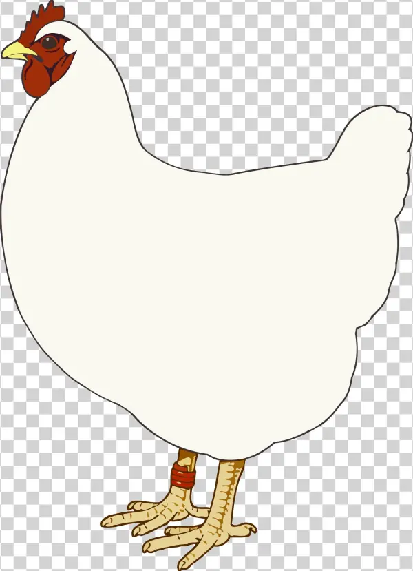 This Free Icons Png Design Of Hen 3