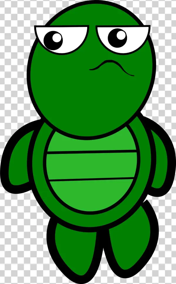 Turtle Png Images