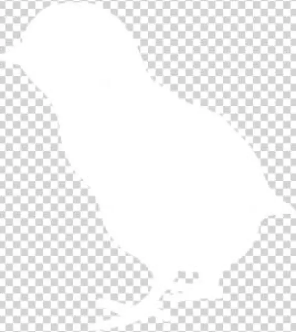 2018 Chick Season - Wood Thrush