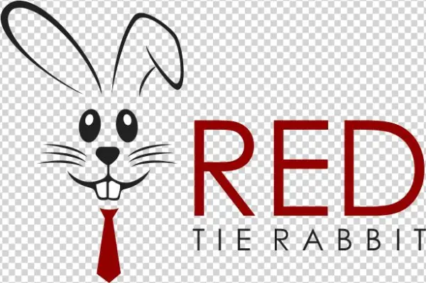 A Leadership And Interpersonal Skills Improvement Blog - Automating And Testing A Rest Api: A Case Study In