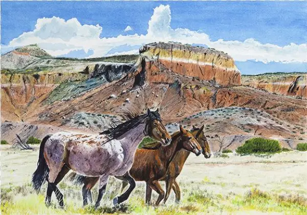 Abiqui Mustangs - Mare