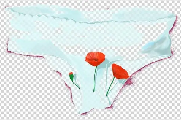 Blossoming Underwear
