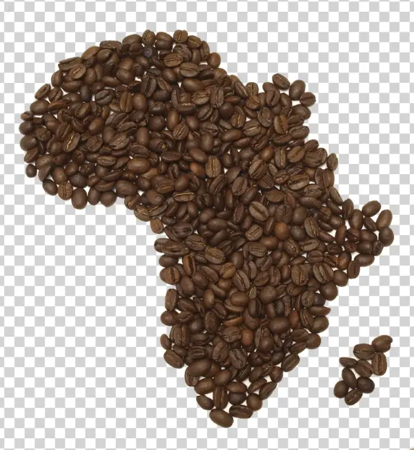 Coffee Beans Png Fifteen - Coffee
