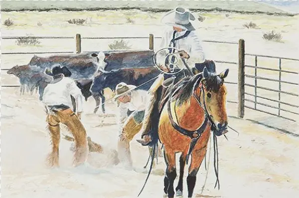 Cow Pen Teamwork - Teamwork