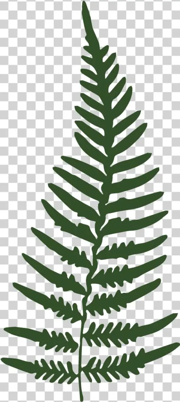 Favicon - Portable Network Graphics