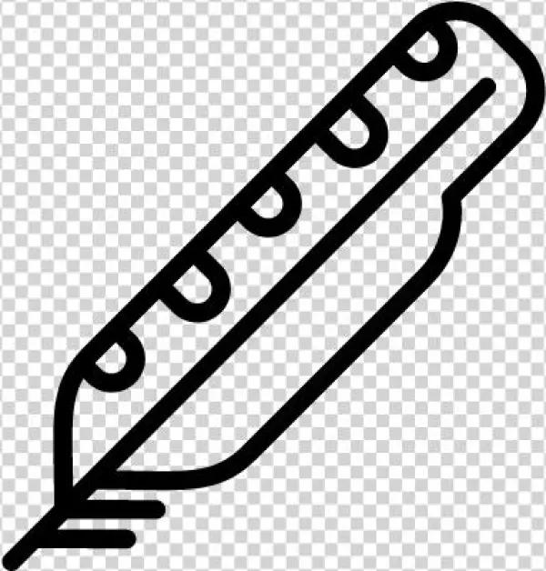 Feather Vector - Bird