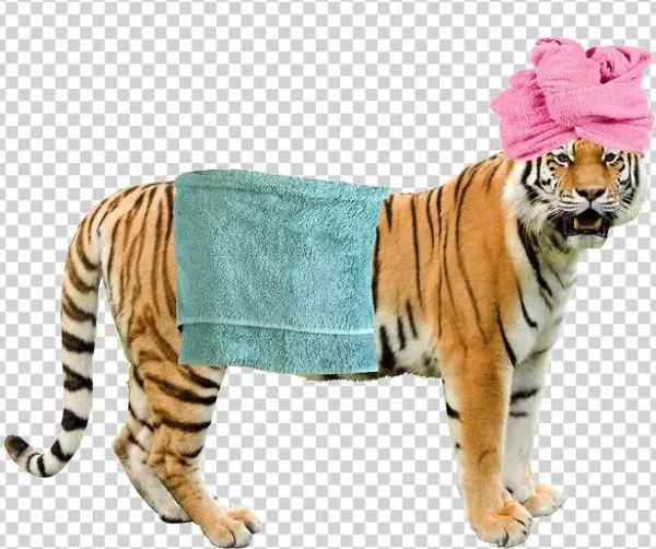 Grft In A Bath Towel - Colchester Zoo