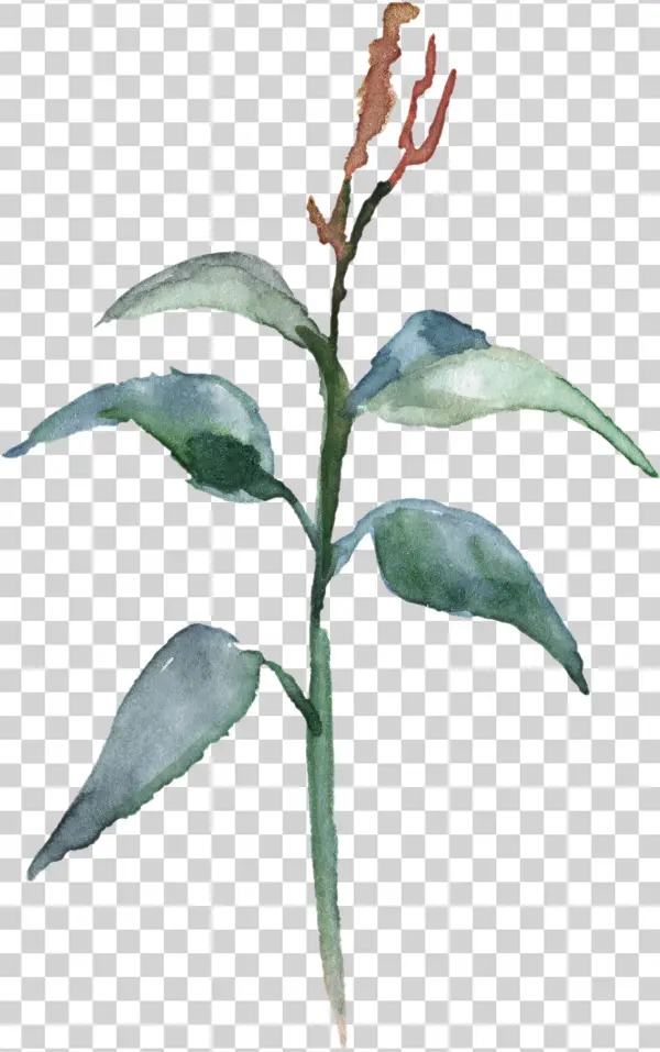 H982 - Watercolor Painting