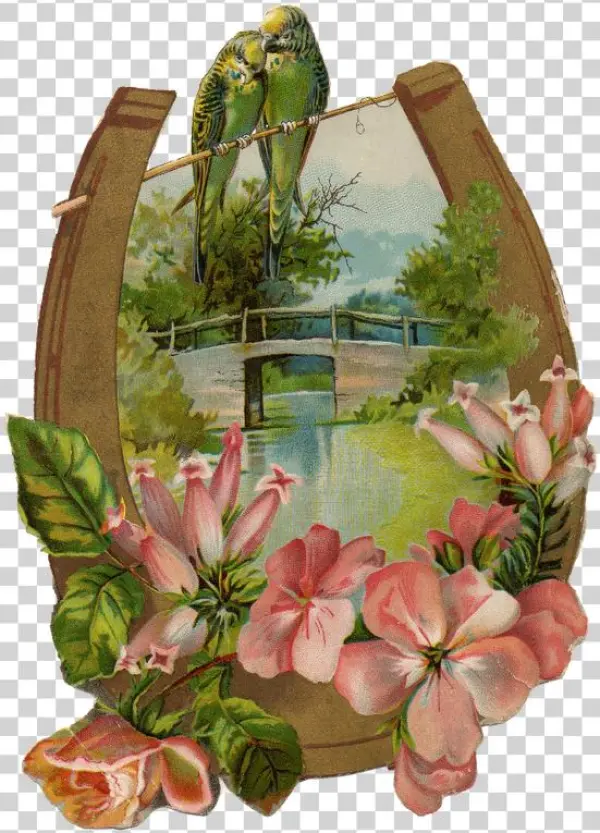 Img151a1 - Garden Roses