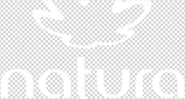 Logo Naturo Letras B - 1 Printable 14w X 18h Inch Two Tone Drawstring Backpacks