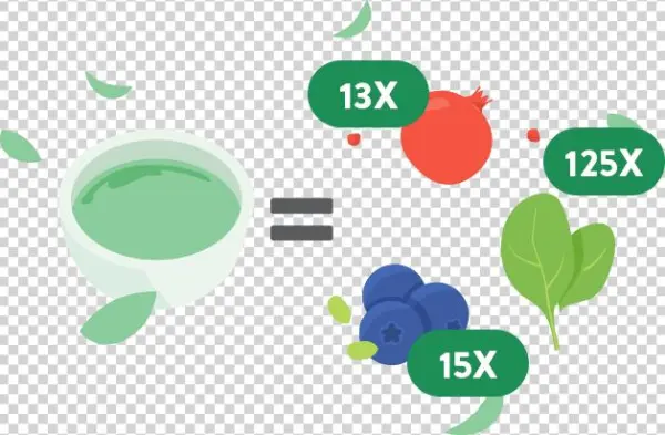 Matcha - Graphic Design