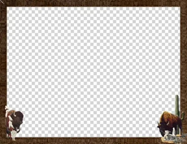 Native-buffalo - Pyrrharctia Isabella