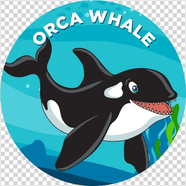Orca Whale - Narwhal
