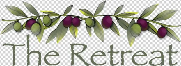 Painting Holidays & Art Workshops In Italy - East Anglia Design