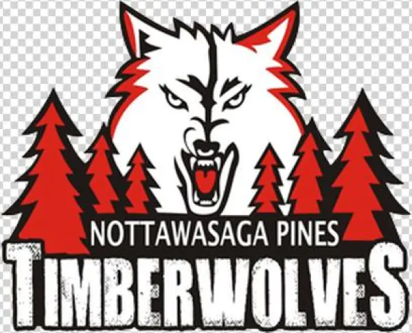 Picture - Nottawasaga Pines Secondary School Logo
