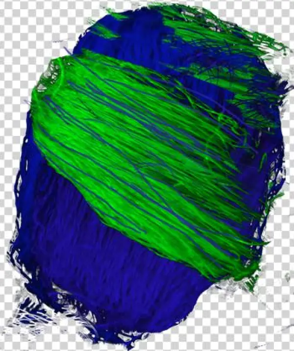 Recolor Image And Maintain Shading - Illustration