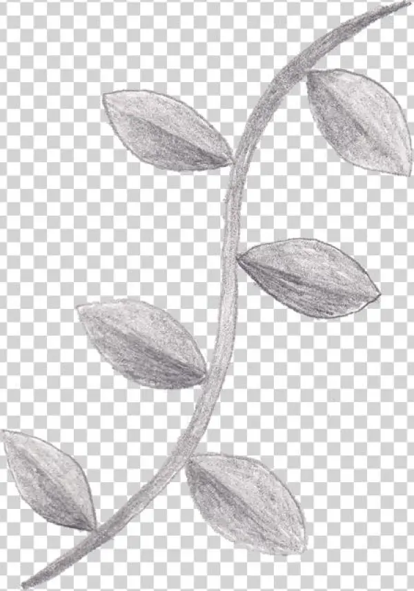 Tree Vines Clipart - Sketch