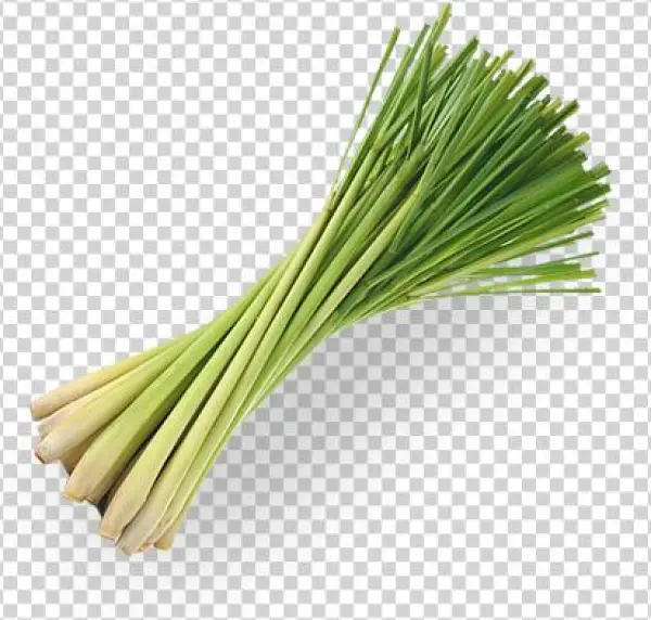 Welcome - 100% Confident All Natural Deodorant Spray With No