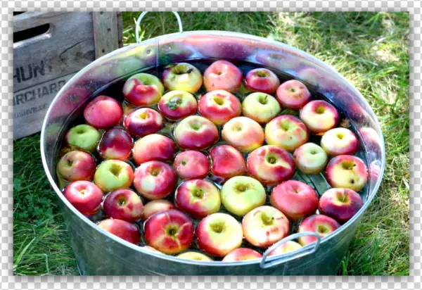 Bobbing For Apples