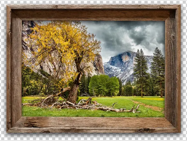 Half Dome Meadow, Yosemite Canvas Print In Barnwood