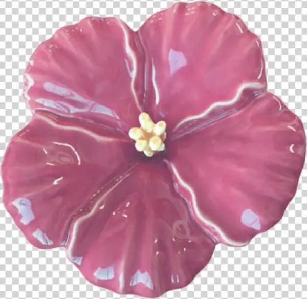 Pink Hibiscus Flower, Large - Rosemallows