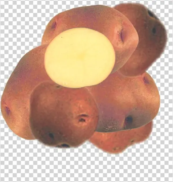 Sangre - Potato