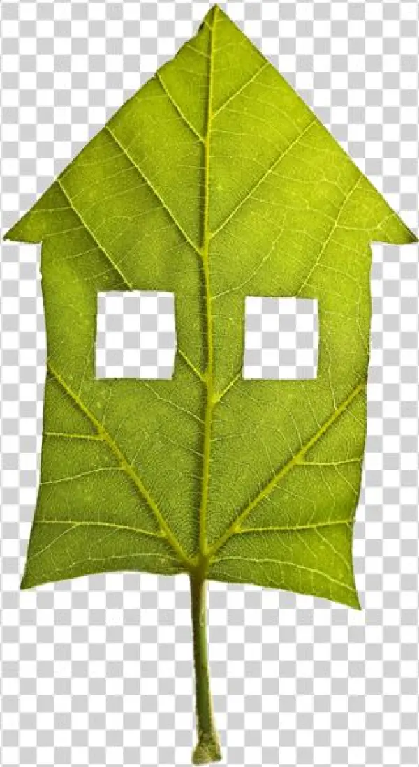 5 Ways To Reduce Energy Use Outdoors - Bari