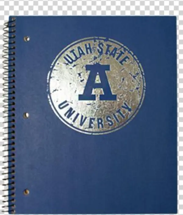 Close This Window - Paper