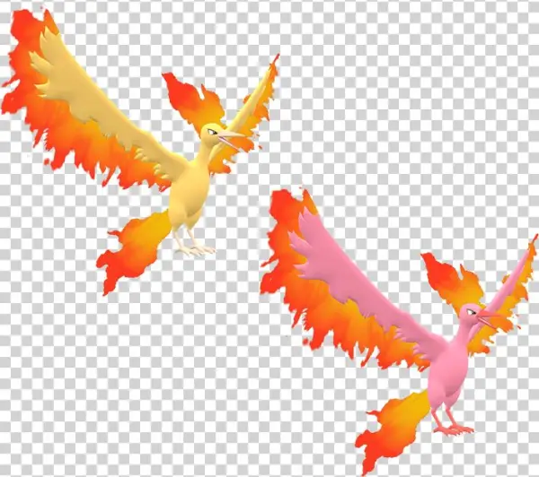 Download Zip Archive - Pokémon X And Y