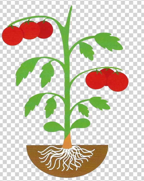Eggplant Clipart Stem - Art