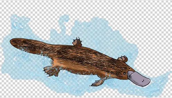 #eleeart Hashtag On Twitter - Alligator