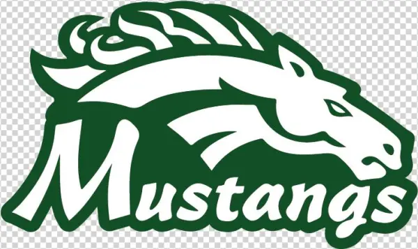 Freshman Mustangs