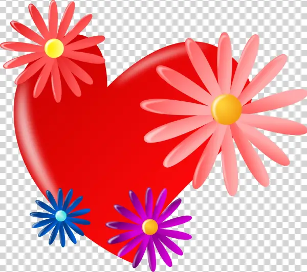 Heart With Daisies