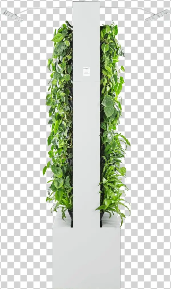 Naava Duo White Side - Shelf