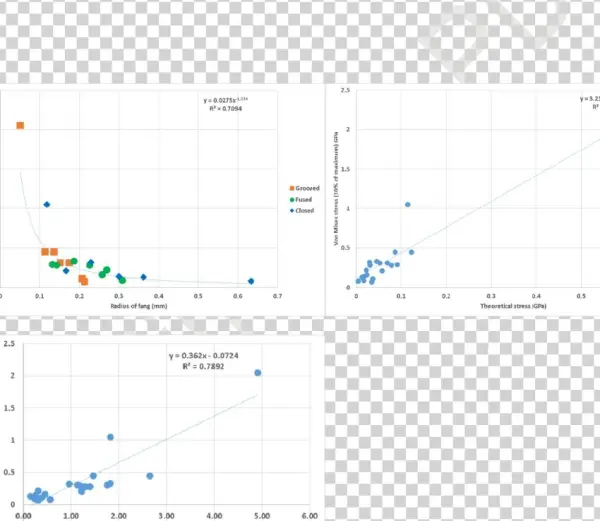 On Mises Stress Distributions Visualized For Every - Causus Rhombeatus
